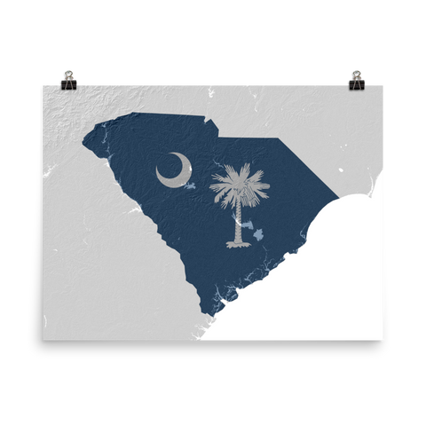 South Carolina State Flag Relief Map